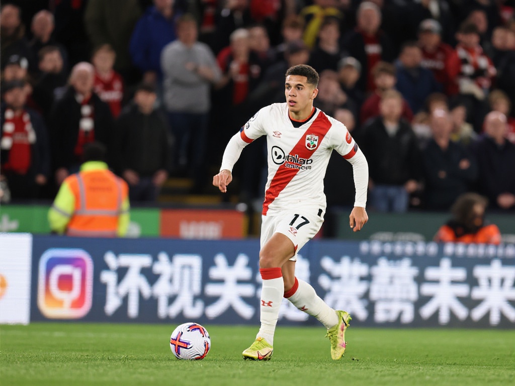 瑞典等强队 瑞典等强队